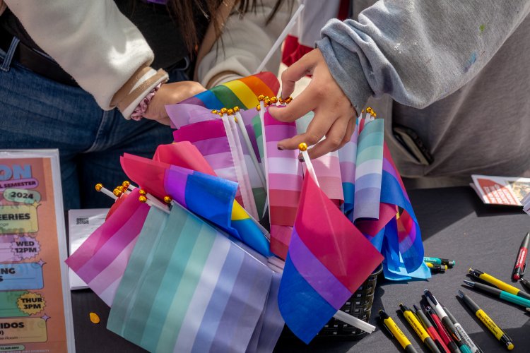various pride flags