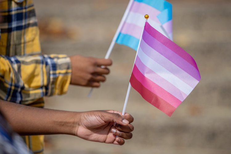 lesbian and trans flag