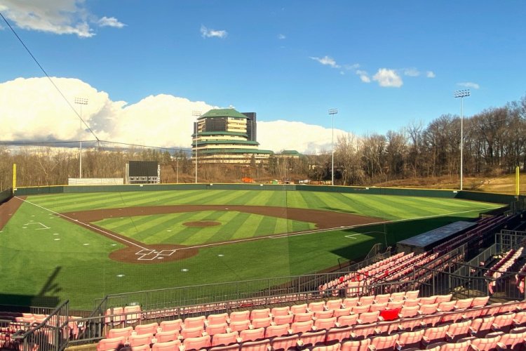 Field-Photo.jpg.4.1x.generic.jpg