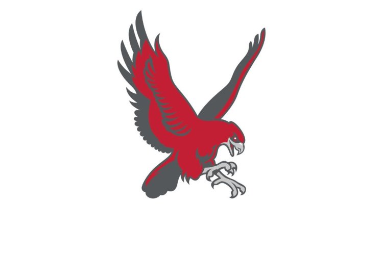 Red Hawk Logo of Red Hawk