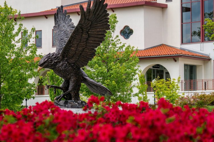 A bronze statue of a Red Hawk in front of a building with a bed of red flowers in the foreground