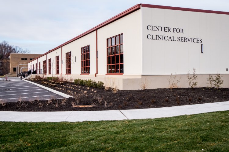 center for clinical services