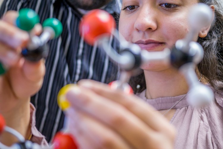 Two researchers working with molecular model in lab.
