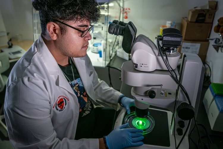 student in science lab