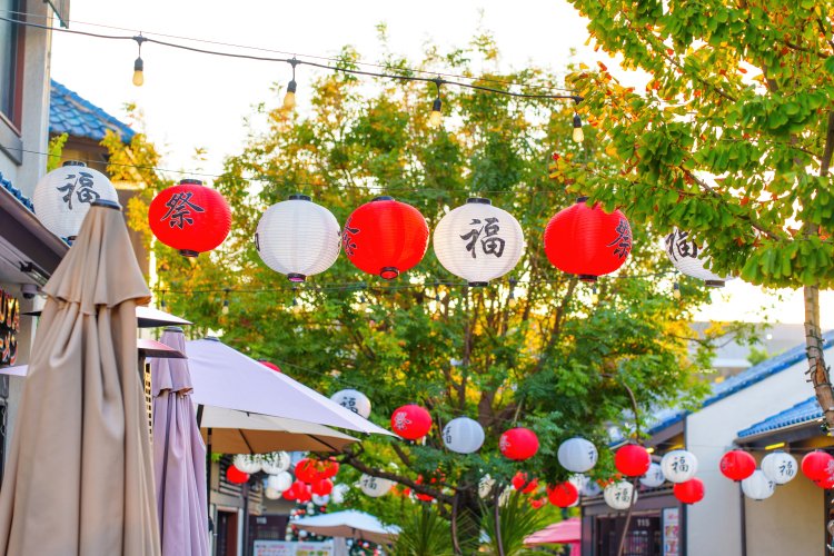 Image of Japanese Lanterns on a street