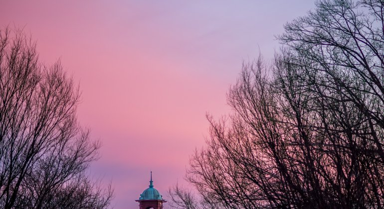 A pink sunset with a bell tower in the distance
