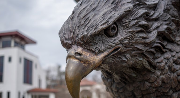 close up of hawk statue