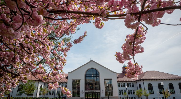 image of cole hall in spring