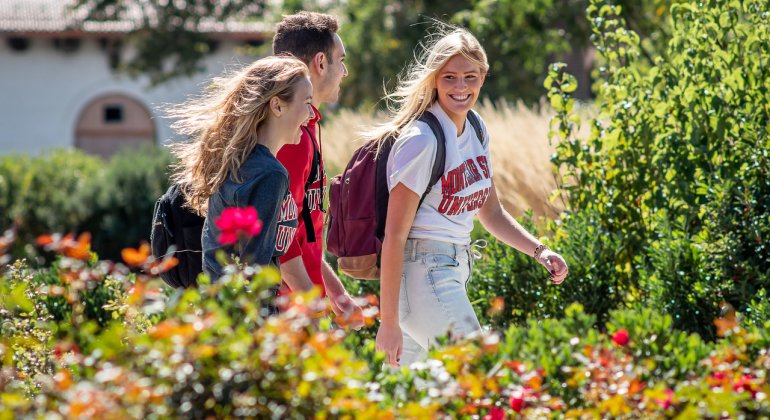 Students walking with bushes surrounding them 