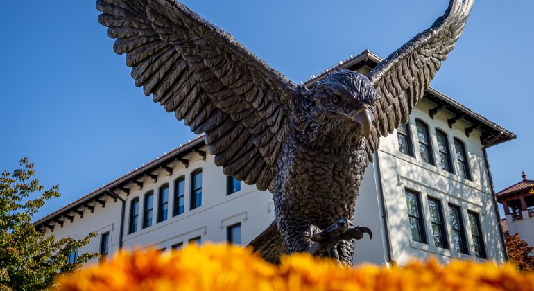 hawk statue in the fall from below