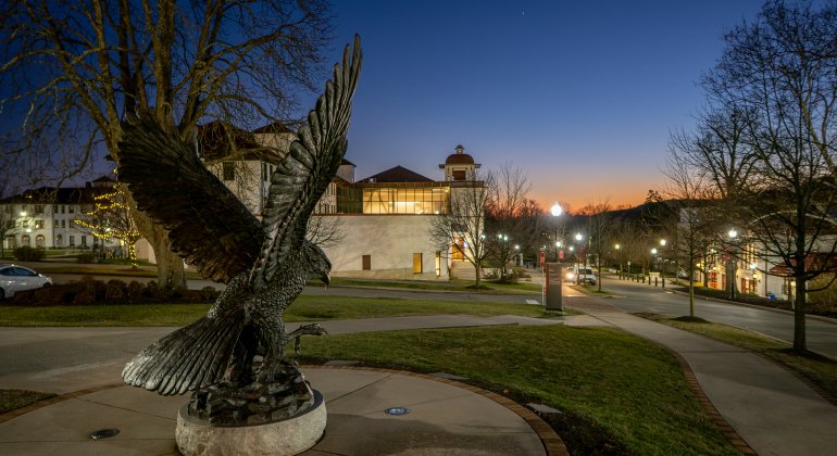 hawk statue at night