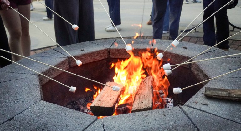 marshmallows toasting over a fire