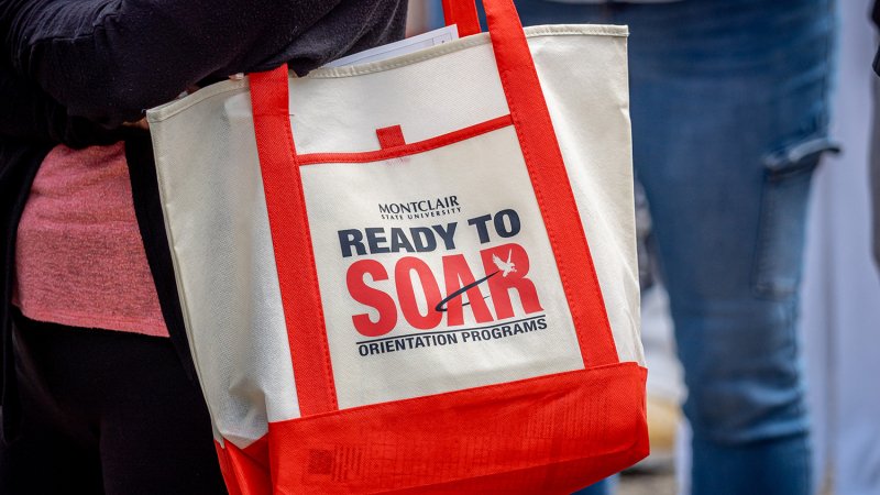 tote bag that says ready to soar