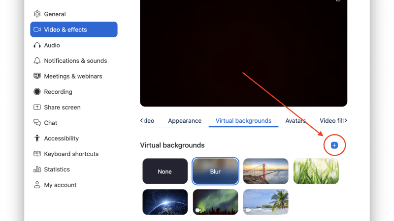 Plus sign on the Zoom page to add an image.
