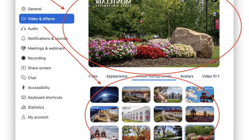 Image of different Zoom backgrounds to pick from.