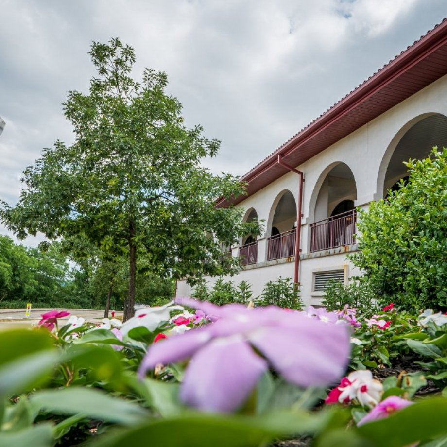 Cole Hall in Spring