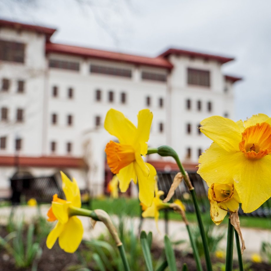 Exterior of Feliciano building
