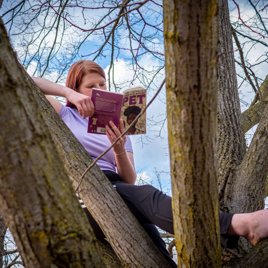 A college student sits in a tree and reads a book
