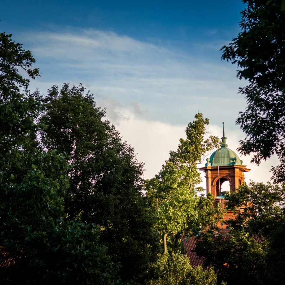 Bell tower visible behind trees on an overcast day