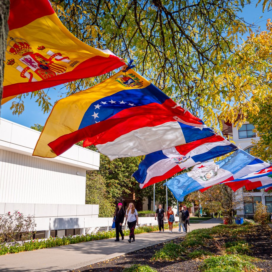 Flags from Latin America flying in the wind 