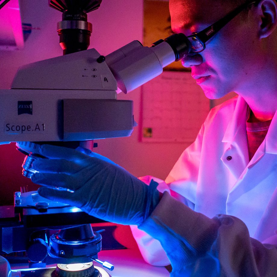 student using microscope