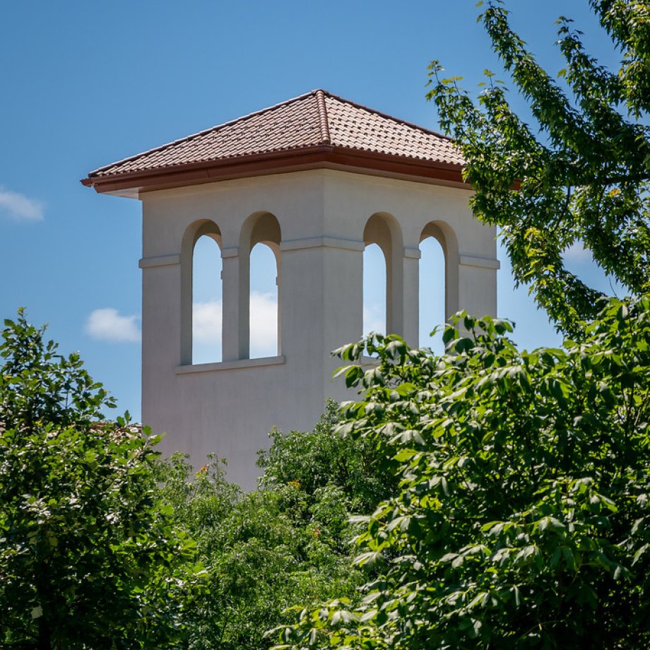 A rooftop of a tower surrounded by trees 