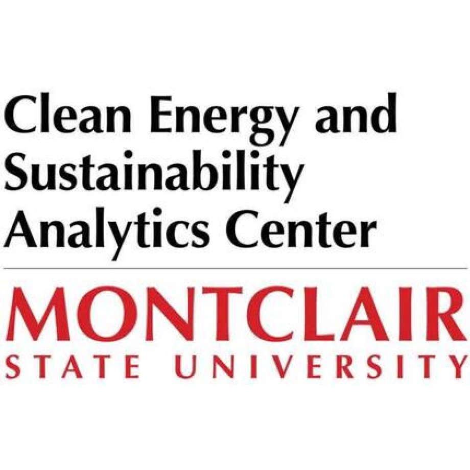 Clean Energy and Sustainability Analytics Center