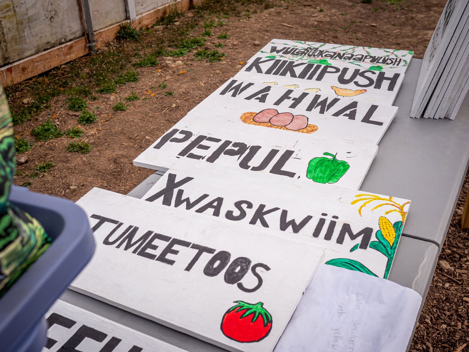 Signs for garden written in Native American language.