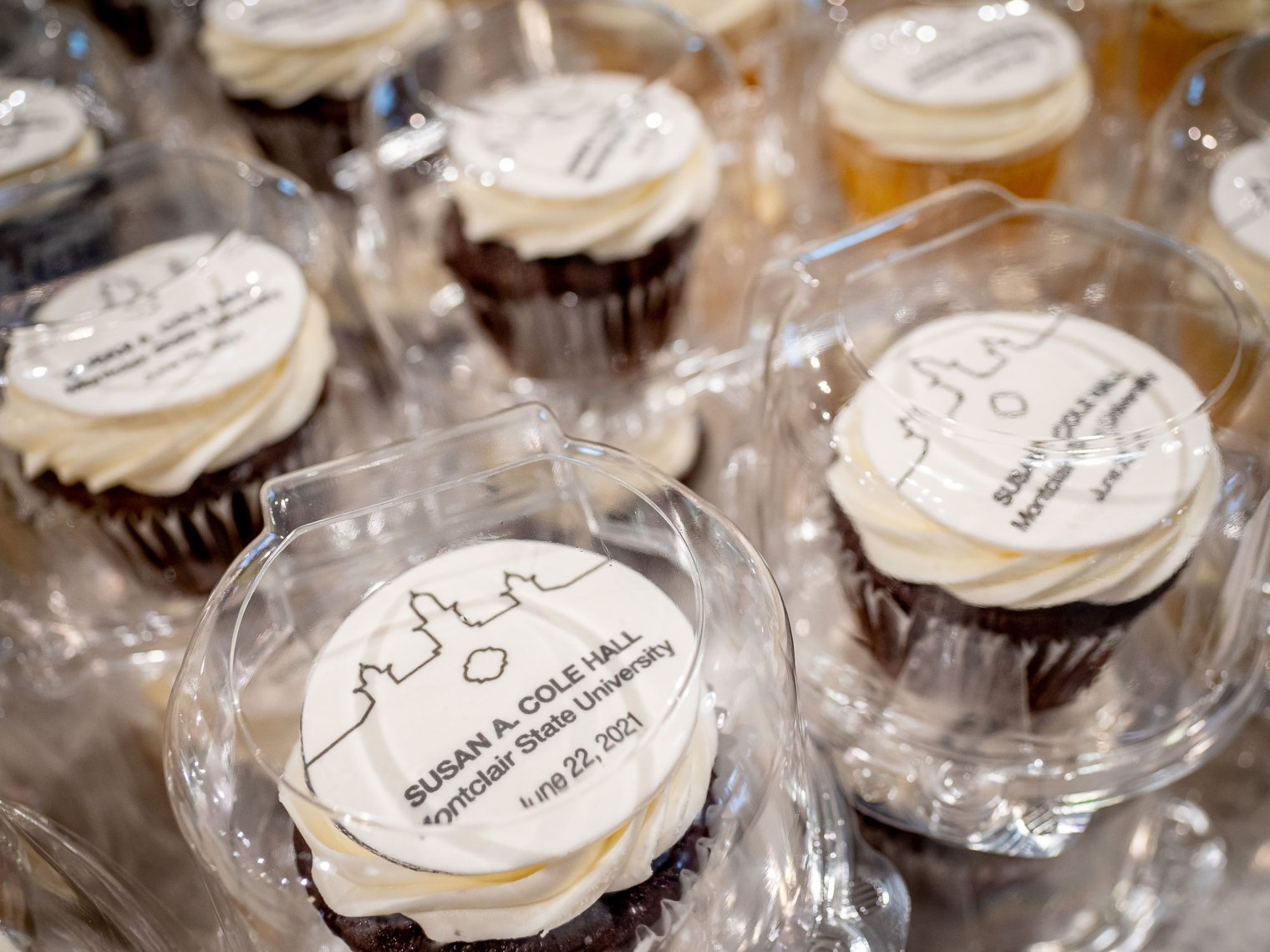 cupcakes with printing on the frosting arrayed on a table