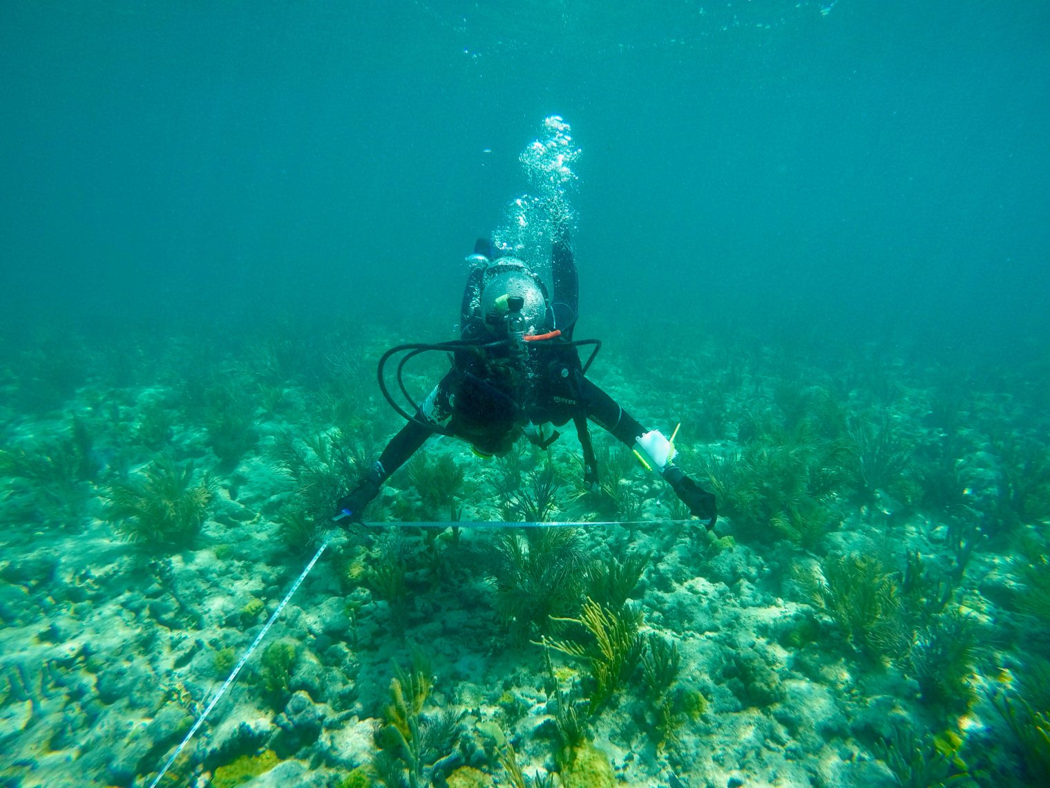 Man underwater in gear near a reef.