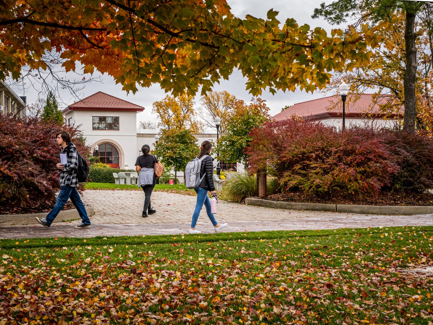 Students walking on campus, fall leaves on trees and on ground. Campus building in background.