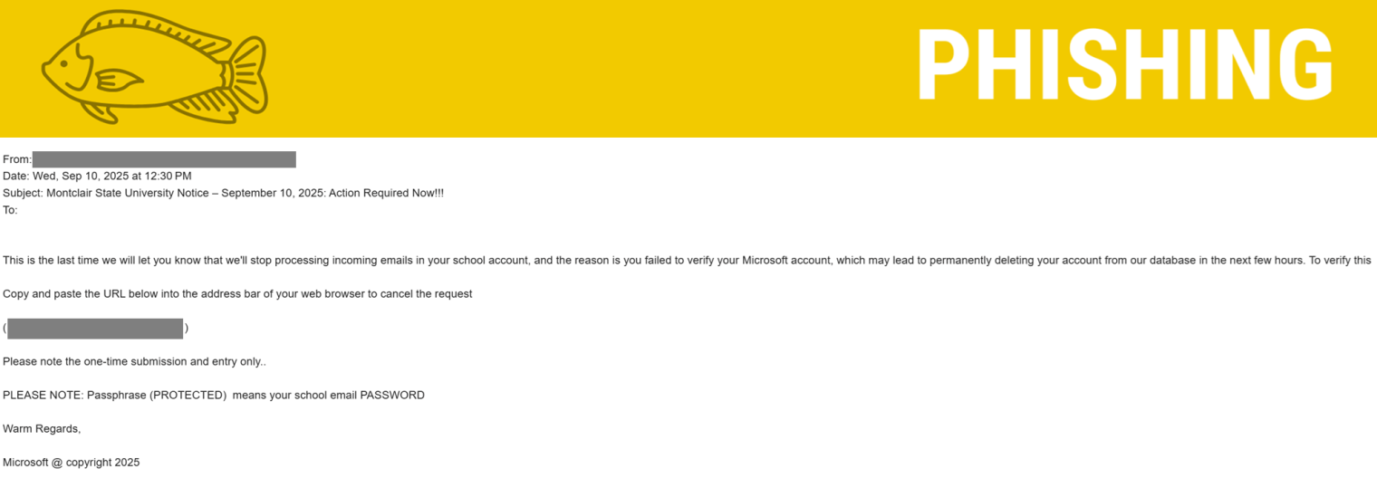 Screenshot of a phishing email posing as IT