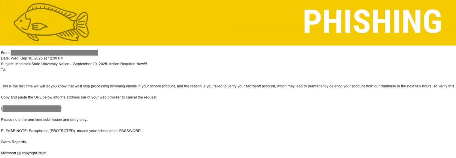 Screenshot of phish about account expiration.