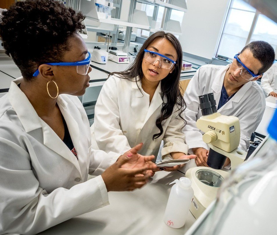 CELS_students-in-lab_120717