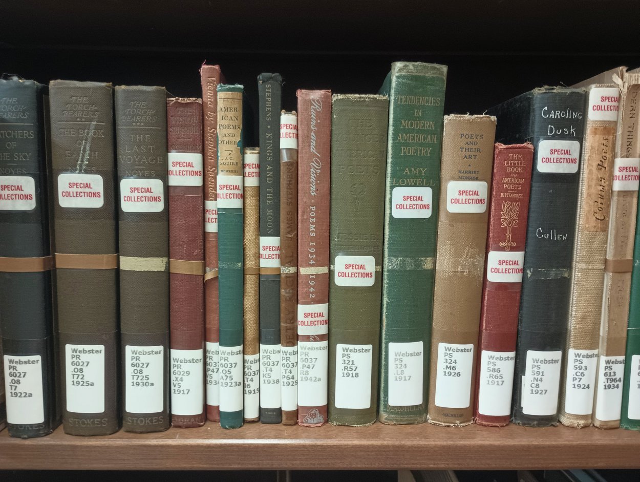 A small sample of books donated by Webster