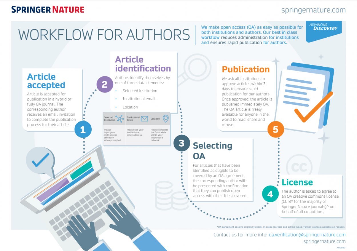 springer nature open access workflow