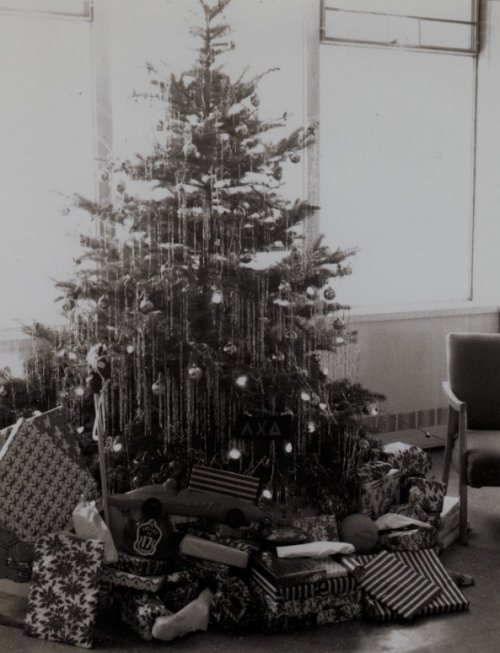 christmas tree in dorm