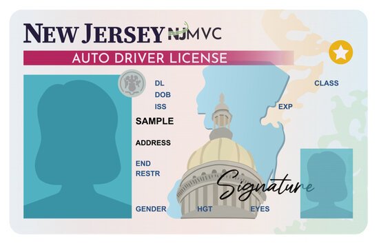 A graphic of a blank New Jersey driver's license