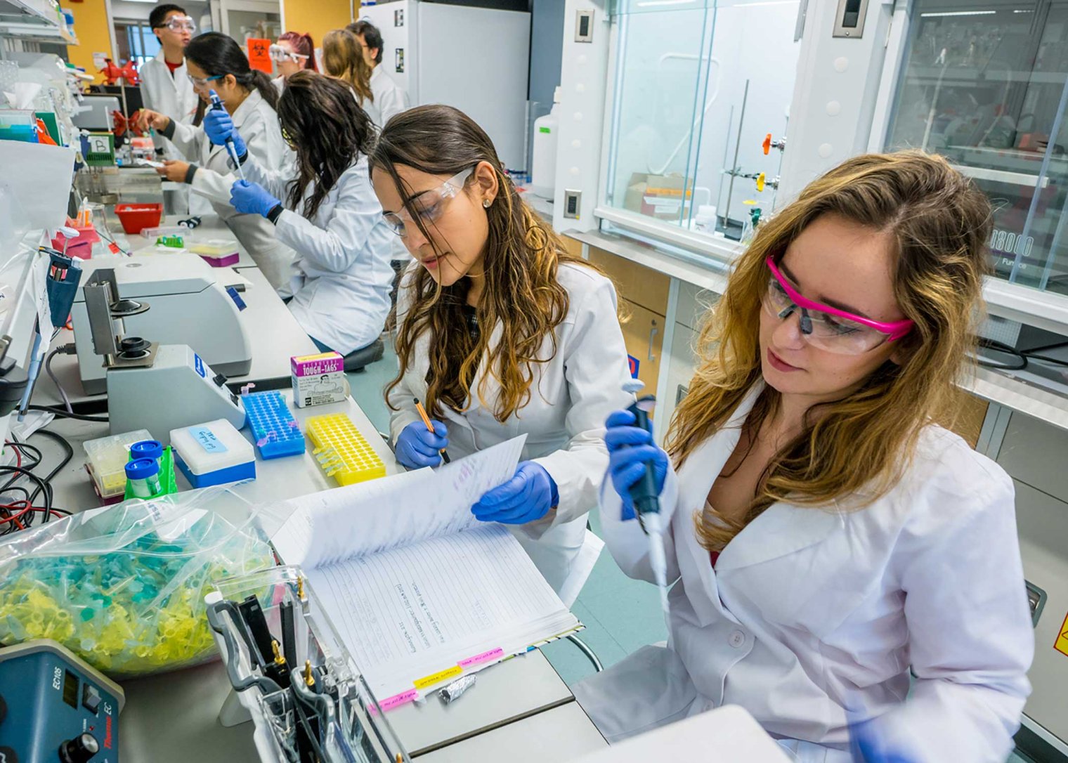 students working together in a research lab