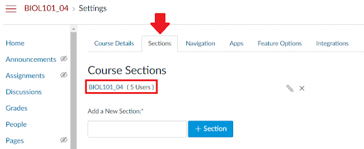 Course section in Canvas