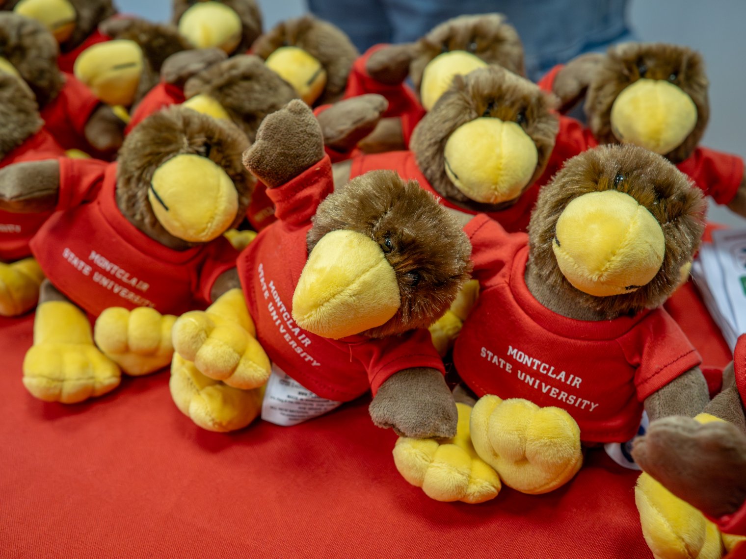 group of rocky doll plushies