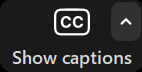 Zoom Show Captions (CC) button 