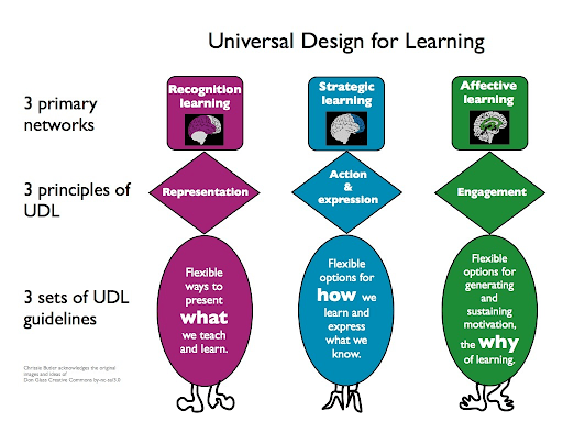 the chart representing the UDL's networks, principles, and priorities