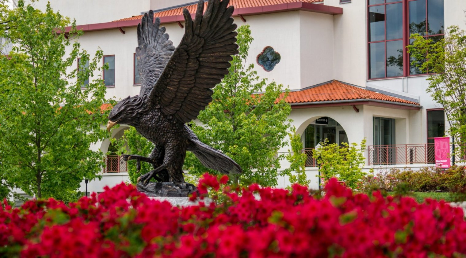 A bronze statue of a Red Hawk in front of a building with a bed of red flowers in the foreground