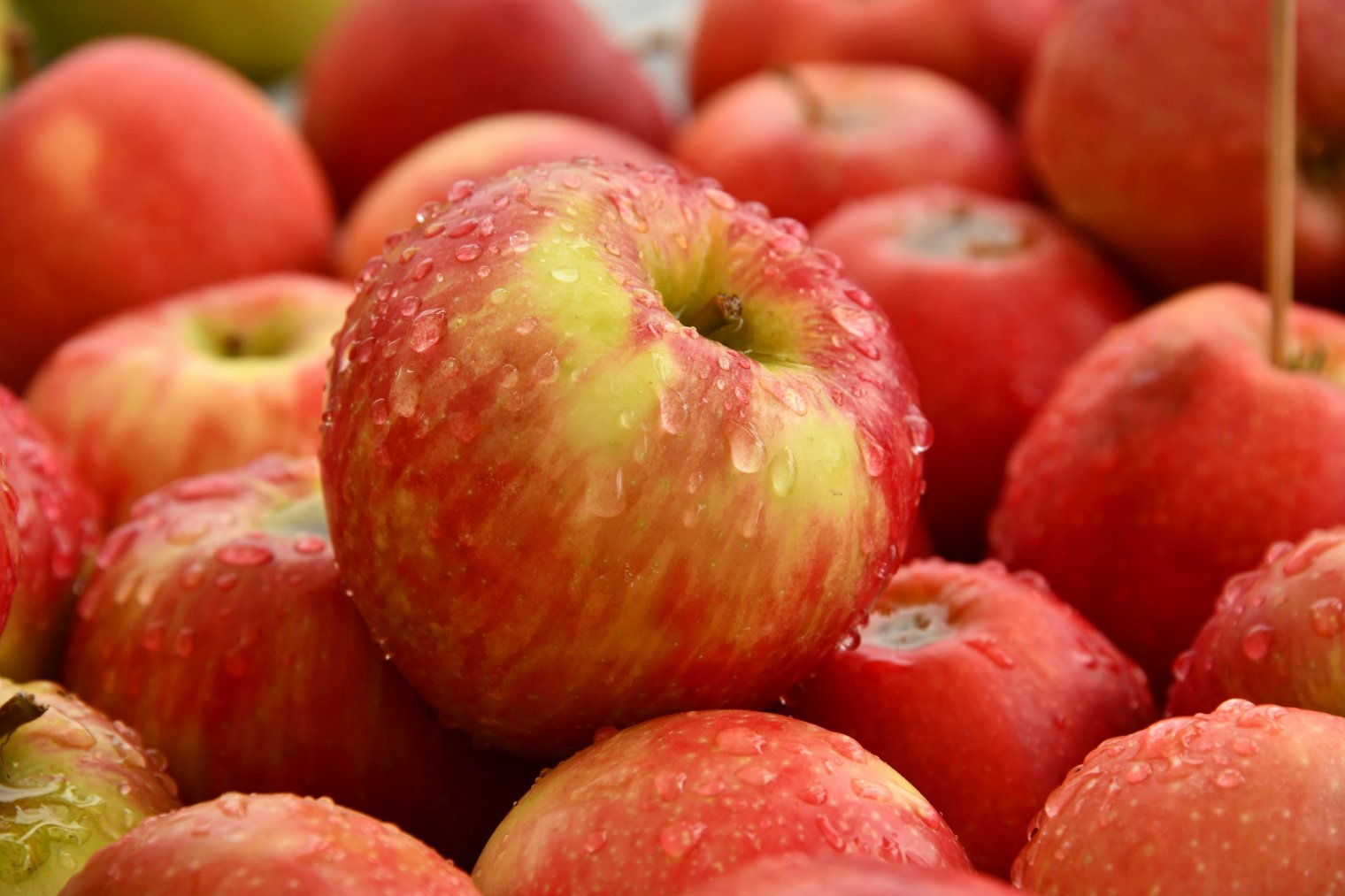 A group of red apples, with water droplets on them