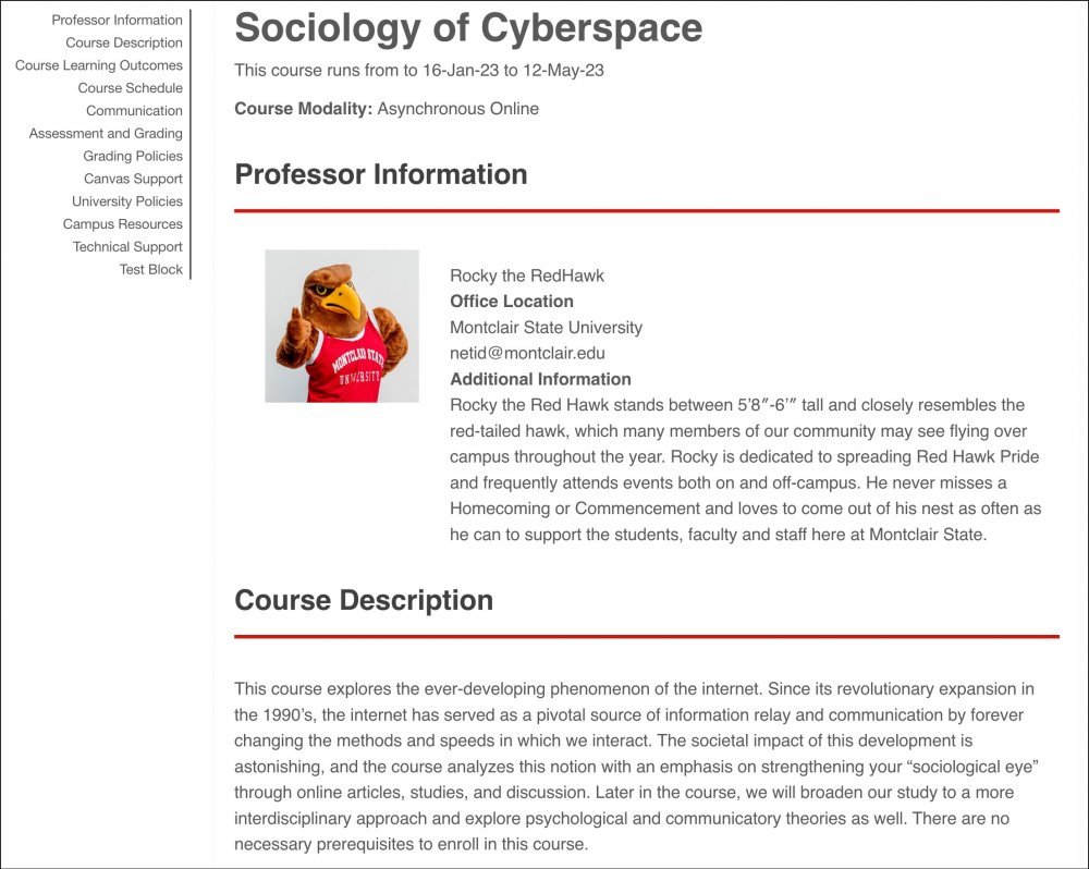 A syllabus displaying course information for "Sociology of Cyberspace," featuring Rocky mascot as the professor and sections on professor details and course description.