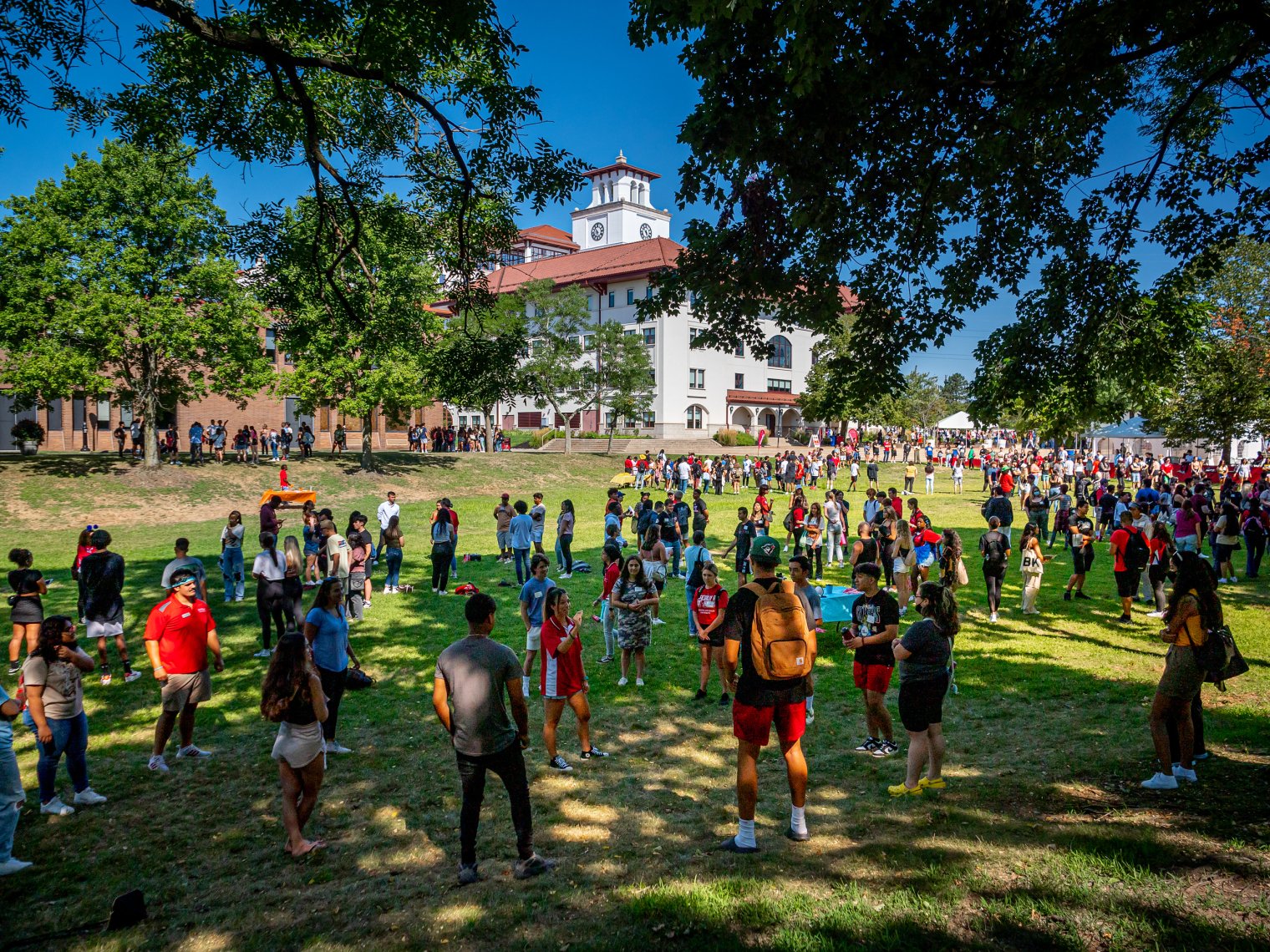 A large number of students on the quad