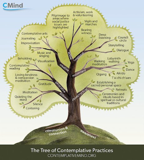 Tree illustration with contemplative practices as the branches