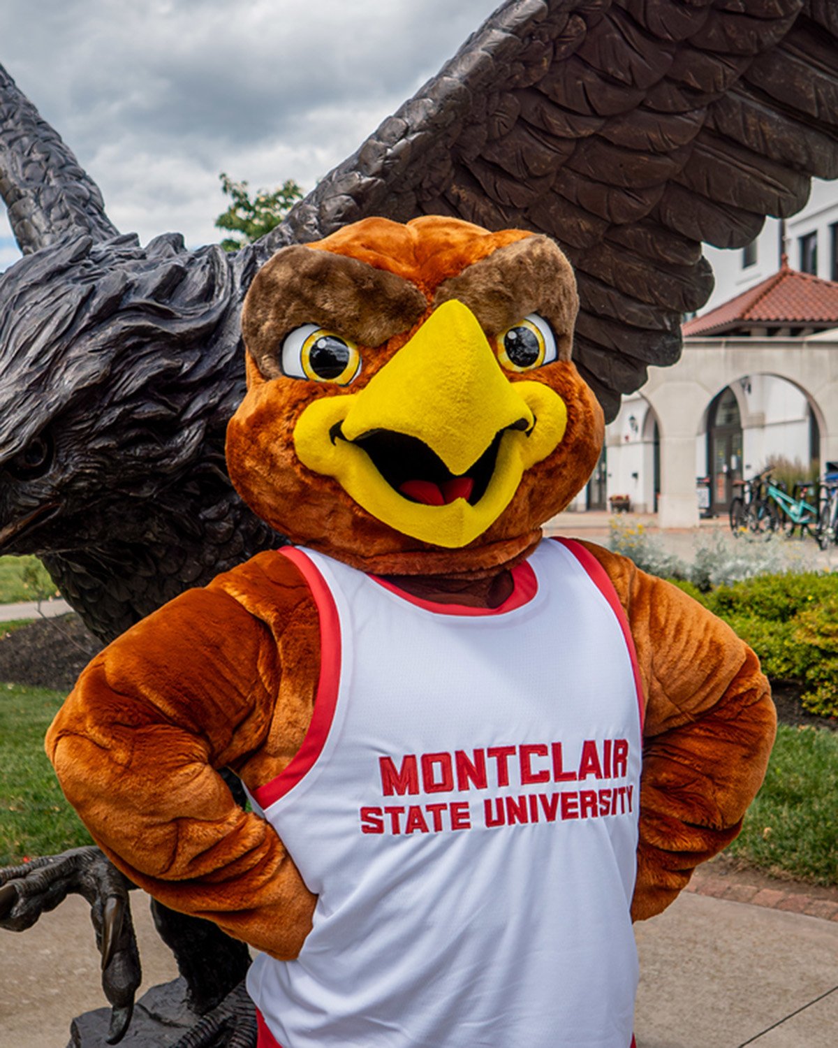 rocky the red hawk mascot 