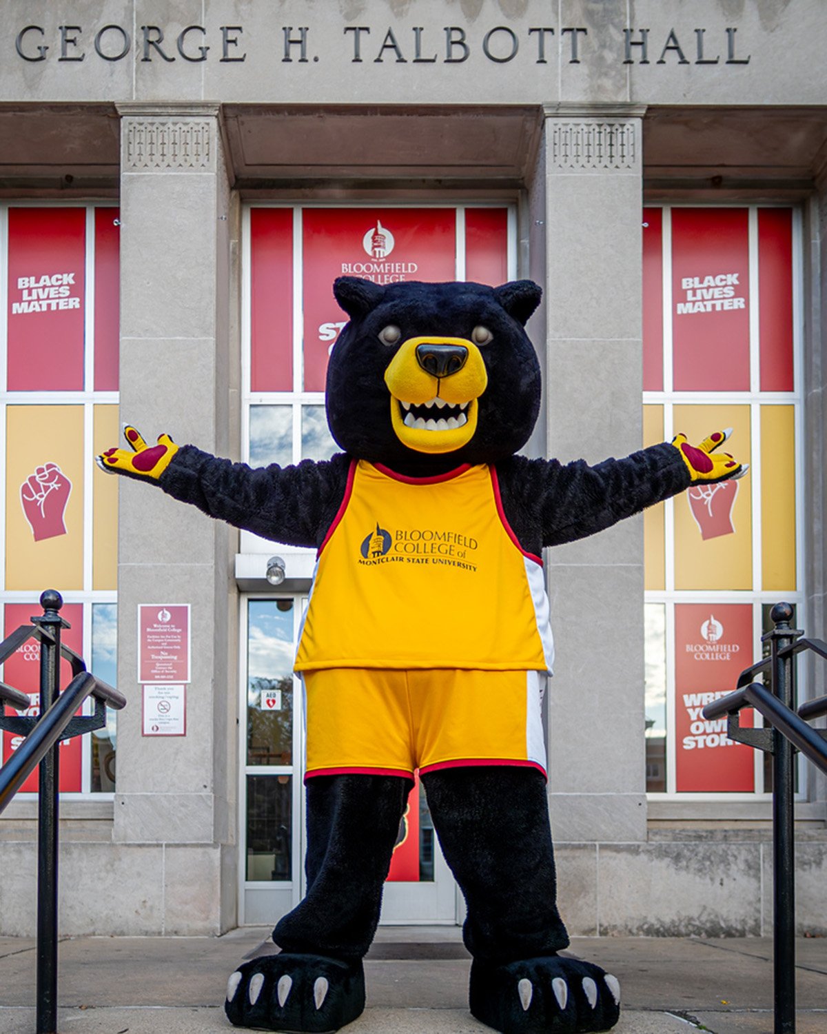 Deacon the Bloomfield Bear 